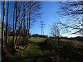 Footpath from Furnace Lane