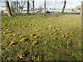 On the roundabout near Abbey Wood station