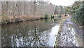 Very muddy towpath by the Basingstoke Canal