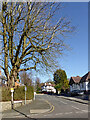 Tudor Crescent near Goldthorn Hill in Wolverhampton