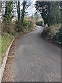 East along Greenway Lane, Trellech, Monmouthshire