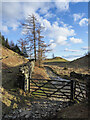 NY3300 : Gate with stony road beyond by Trevor Littlewood