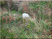 SX1975 : Old Boundary Marker beside the Redgate to Bolventor road by P G Moore
