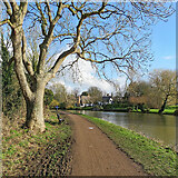 TL4860 : By the Cam at Fen Ditton by John Sutton