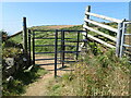 Kissing gate on the Wales Coast Path