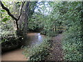 The Axe on the path to Vicarage Road