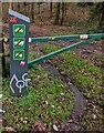 Red dragon above wordless signs at the entrance to Cockshoot Wood, Monmouthshire