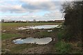 TQ4789 : Flooded field in Marks Gate by David Howard