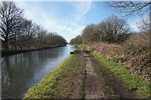 SJ7387 : Bridgewater Canal towards Woodhouse Lane Viaduct by Ian S