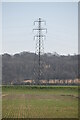 TQ8025 : Pylon by River Rother by N Chadwick