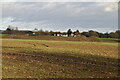 Farmland, Theydon Garnon