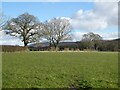 Field near Street