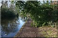 Bridgewater Canal towards Pickering