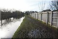 Bridgewater Canal towards Grappenhall Bridge