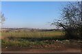 Fields by Coopersale Lane, Theydon Garnon