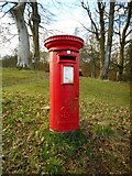 NS5751 : George VI pillar box, Montgomery Street by Richard Sutcliffe