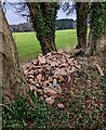 ST4996 : Pile of rubble, Itton, Monmouthshire by Jaggery