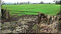 Field gateway on NW side of Bowscar Road