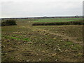 Footpath to Westborough