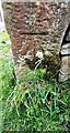 Benchmark on gatepost in wall on south side of North Bank opposite Bank House