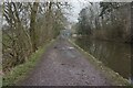 Macclesfield Canal towards bridge #28