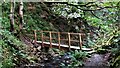 Lowest Footbridge in Gorpley Clough