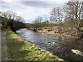 River Wear Beside Kingfisher Leisure Park