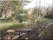 ST2951 : Berrow wildlife ponds by Neil Owen