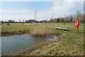 Bench and Lifebelt by a Pond