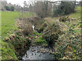 Brook in Brooklands Park, East Grinstead