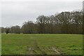 Footpath to River Beult