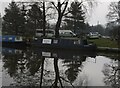 Canal boat The Laurie C, Macclesfield Canal