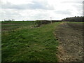 Field edge path and Bucknall Wood