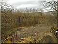 Rowancraig Quarry