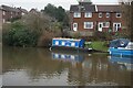 Canal boat Bluebird Too, Macclesfield Canal