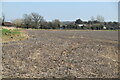 Field of stubble