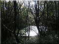 A pond by the dunes