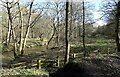 River Browney near the bridge at Malton