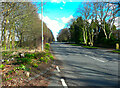 Alwoodley Lane from the start of a footpath, Alwoodley