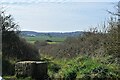 Ashingdon Footpath 10