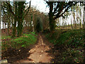 Bridleway off the A61 Harrogate Road, Wigton