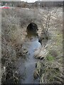 River Kelvin