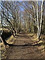 Auckland Way Railway Path