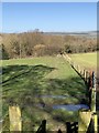 Footpath To Hagg Plantation