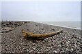 SH9679 : Driftwood log on shingle beach by Andy Waddington