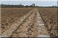 Path across bare field near Lymore Farm