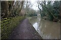 Peak Forest Canal towards Woodley Tunnel