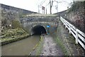 Peak Forest Canal at Woodley Tunnel