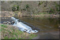 Ford across the River Coquet