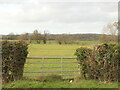 Field near Roden